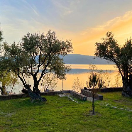 Seafront Traditional Stone House In Sunset Olive Grove - B Alyfanta Eksteriør bilde