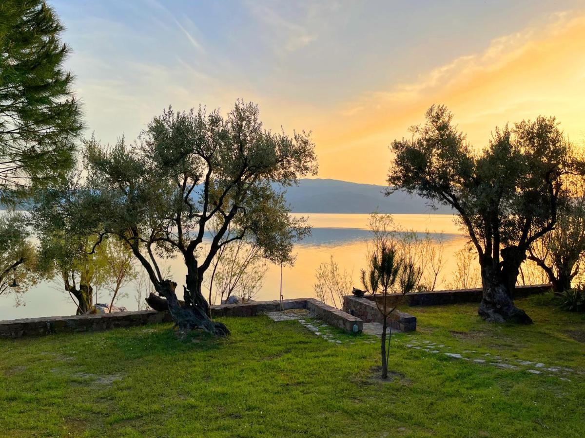 Seafront Traditional Stone House In Sunset Olive Grove - B Alyfanta Eksteriør bilde